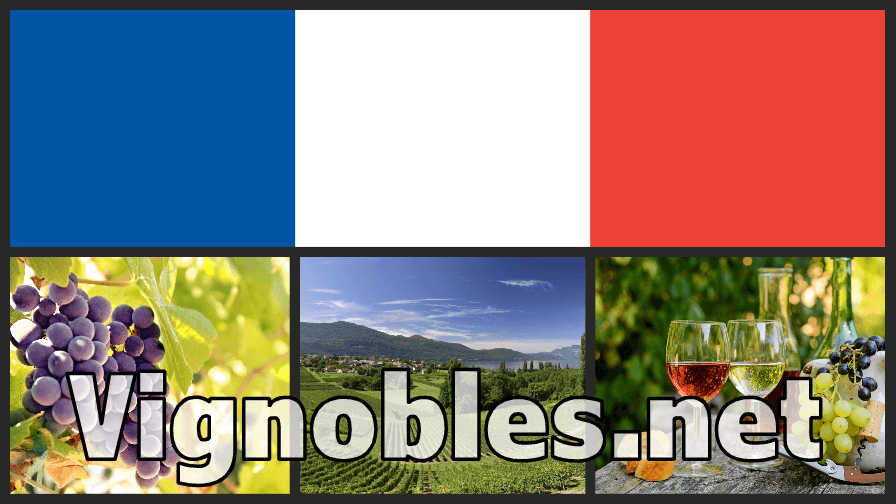 vignobles.net vignobles.net Vignobles .net French vineyards domain name for sale at Sedo by Concept Names